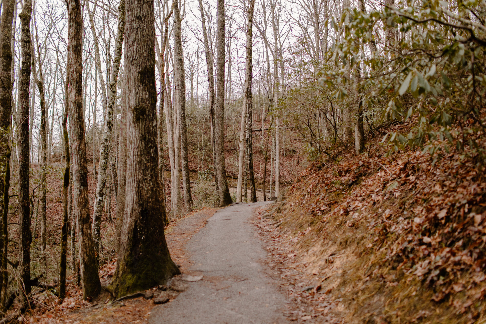 Hike to Laurel Falls in Gatlinburg, TN Great Smoky Mountain National Park.