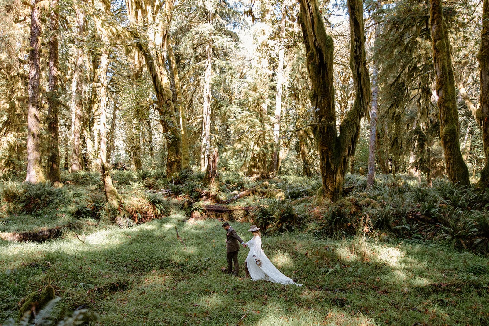 best olympic national park elopement locations